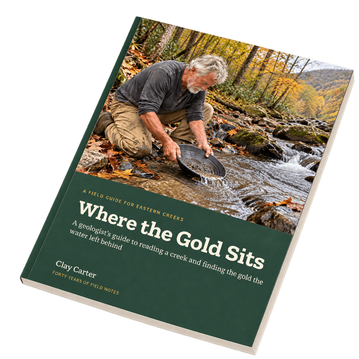 The Where the Gold Sits field guide