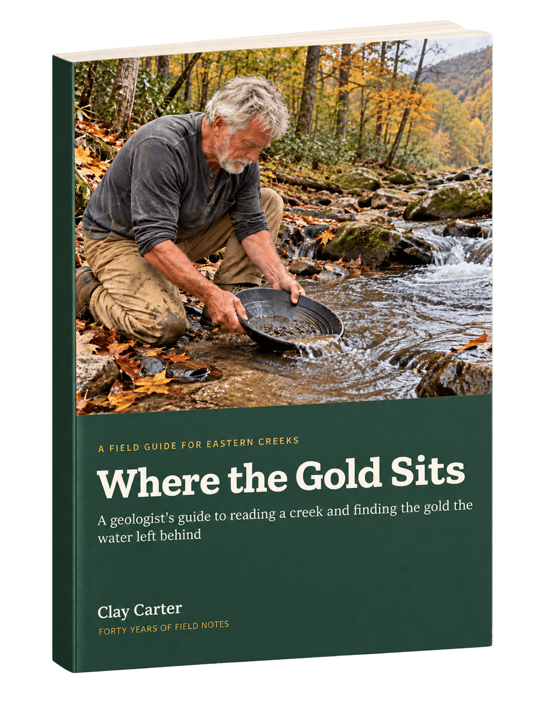 The Where the Gold Sits field guide